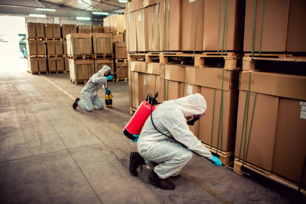 Best Mosquito Control Services  in Sea Isle City, NJ