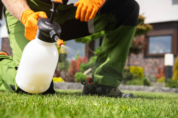 Best Exterminator Services  in Sea Isle City, NJ